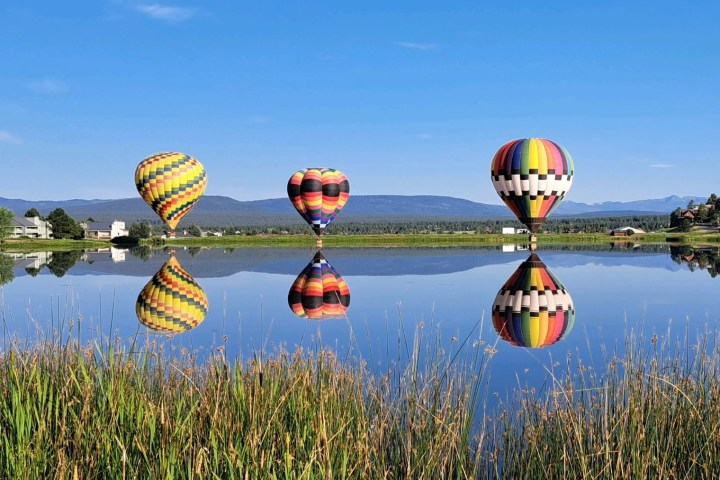 a group of people flying kites in a field