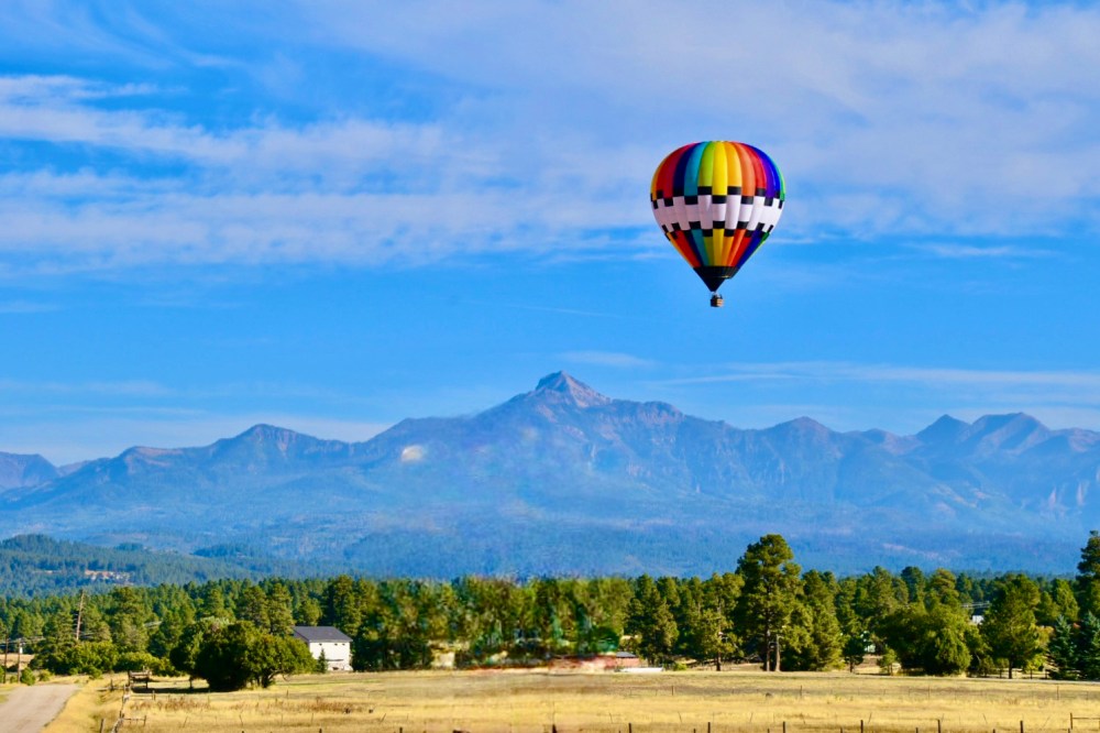 a person flying a kite in a field with a mountain in the background