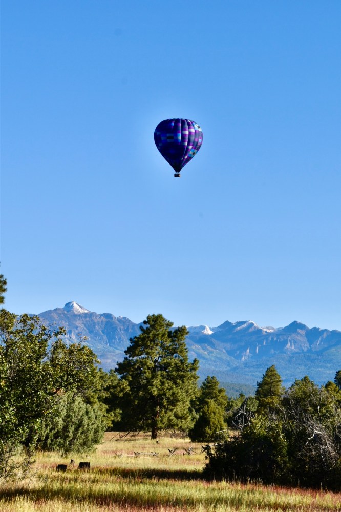 a person flying a kite in a field