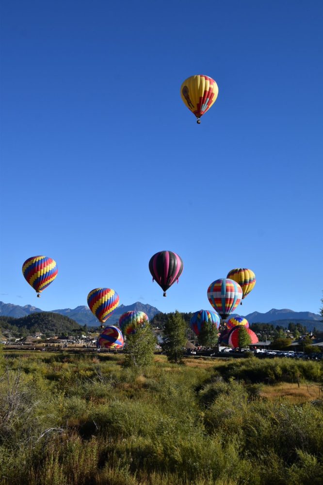 a group of people flying kites in a field