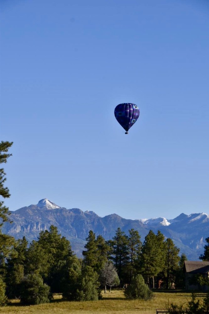 a person flying a kite in a field with a mountain in the background