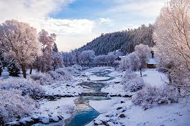 a snow covered field