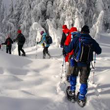 a group of people cross country skiing in the snow