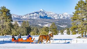 a group of people riding on the back of a horse in the snow