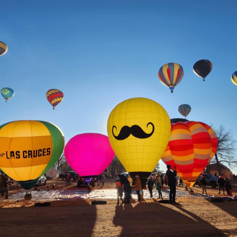 a group of people flying kites on a beach