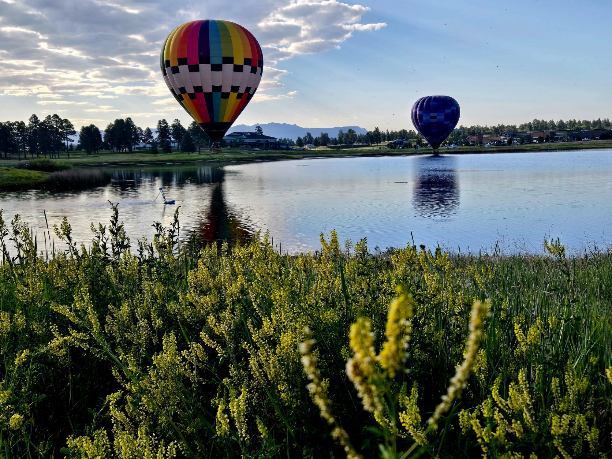 5963185740219269377 a large balloon in the sky