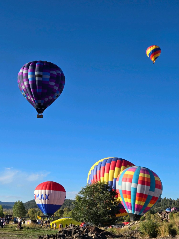 Colorful hot air balloons in clear blue sky near trees and rocky ground.