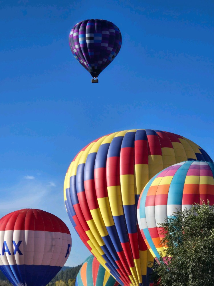 Colorful hot air balloons with blue sky background, one purple balloon higher up.