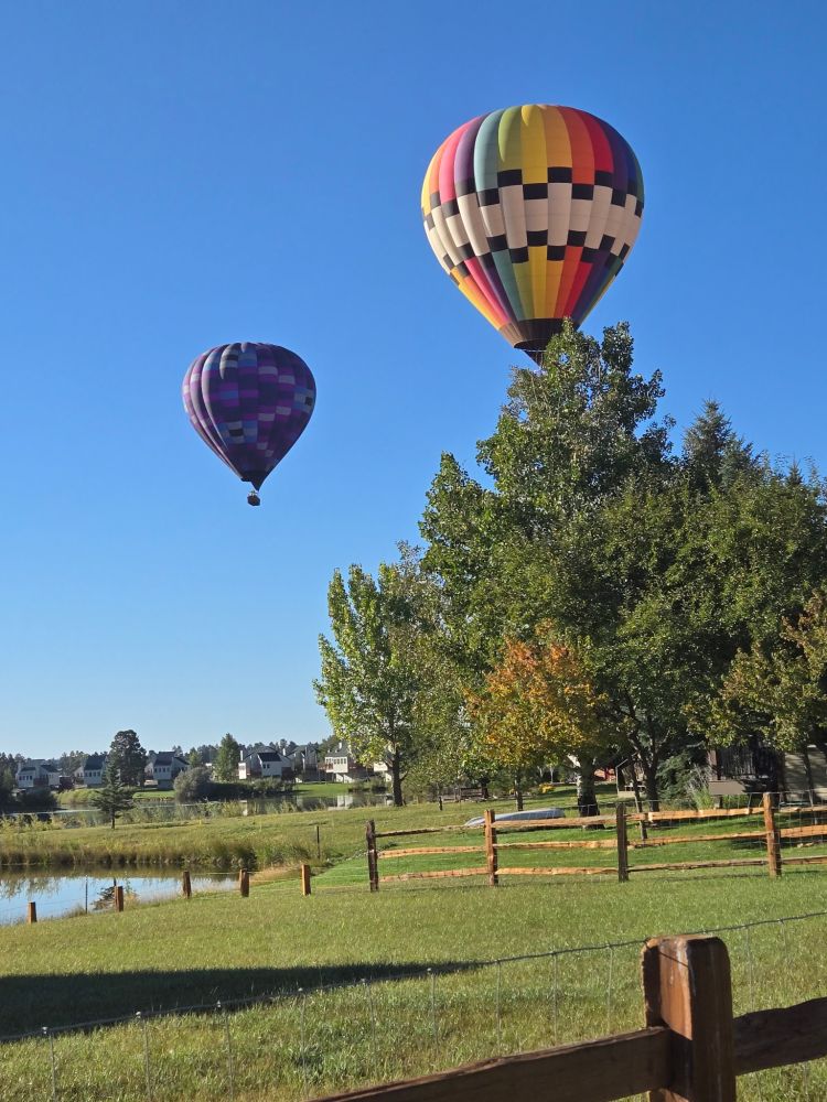Two colorful hot air balloons floating above a grassy landscape with a wooden fence.