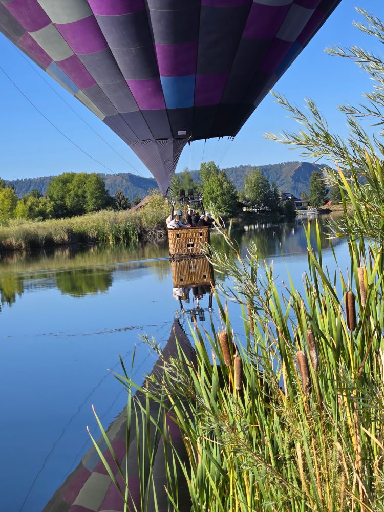Hot air balloon with purple and black check pattern over a lake, reflecting on water with tall grass nearby.